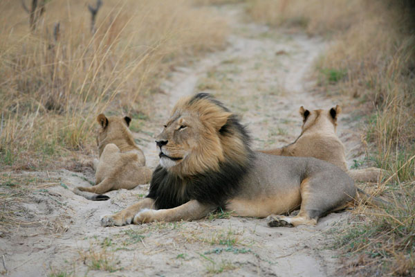 cecil3_brentstapelberg
