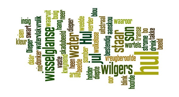 Figuur6_MWW_woordbeeld_totius