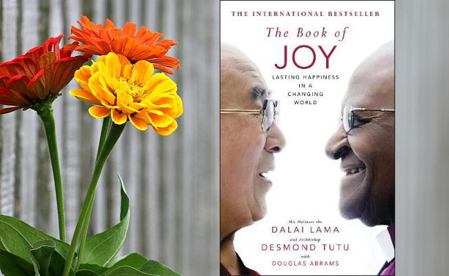 The book of joy en lewensvreugde: ’n tweegesprek tussen die Dalai Lama ...