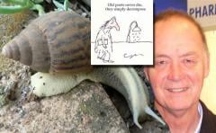GuS_Snail650_240x148_crop.jpg