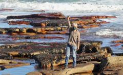 Elma-de-Vries_op_rots_650_240x148_crop.jpg