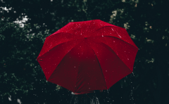 650-Rooi-sambreel-Canva_240x148_crop_7.png